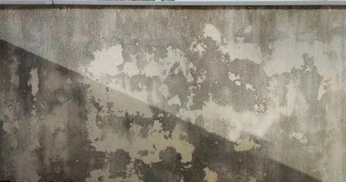 Protection — chantier 4