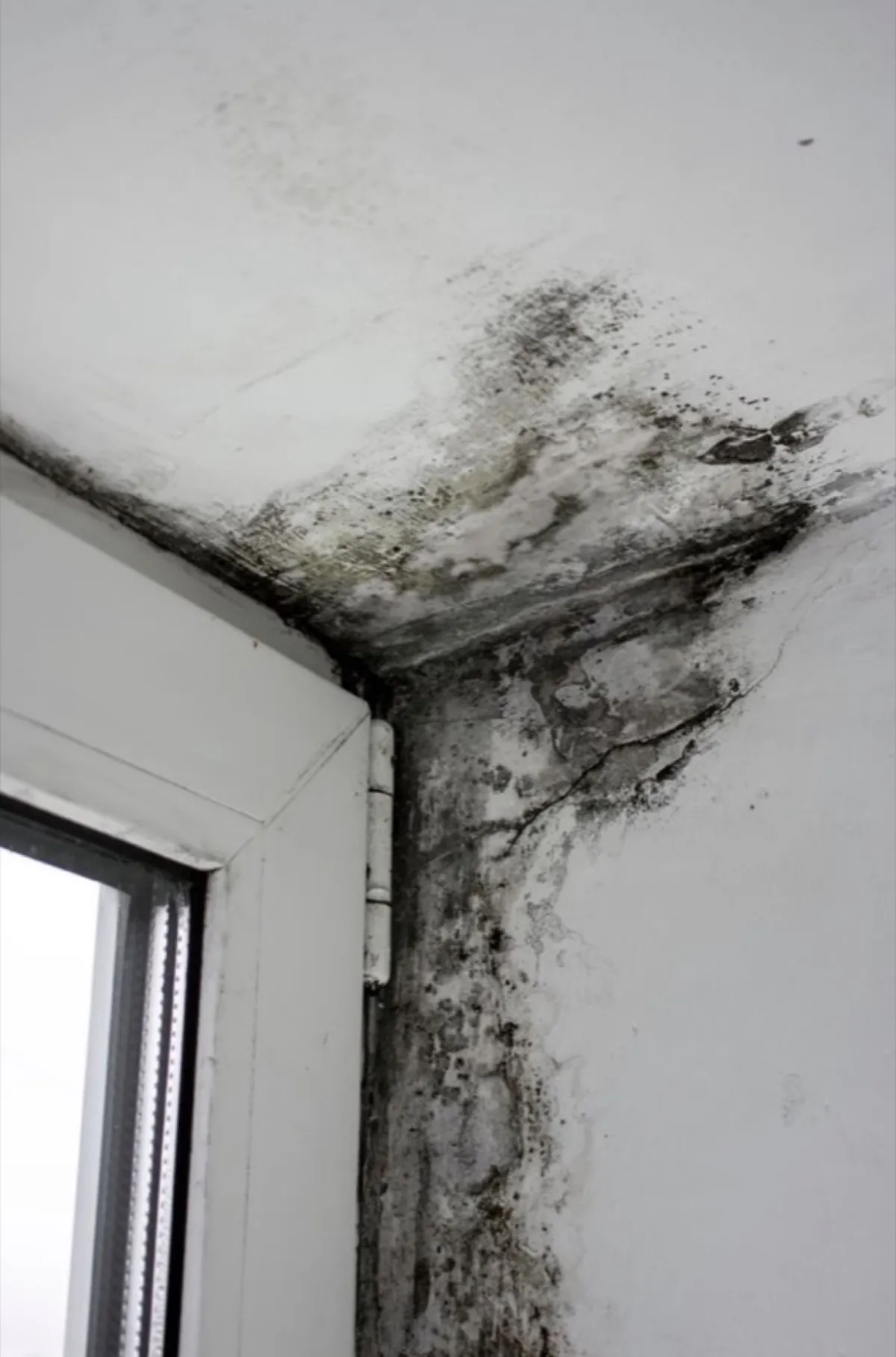 Protection — chantier 7